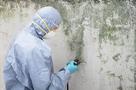 Best HVAC Mold Inspection and Cleaning  in Spokane, WA